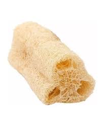 ESPONJA VEGETAL SLIM